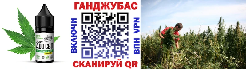darknet официальный сайт  Иннополис  Cannafood конопля 