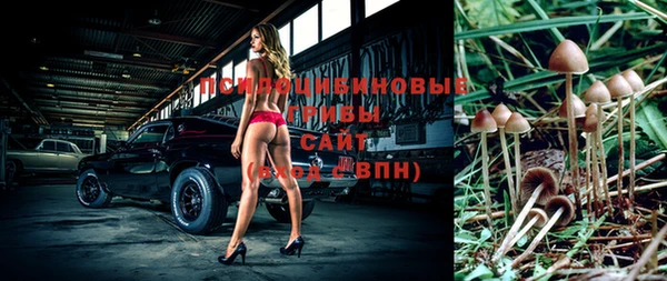 шишки Алексеевка