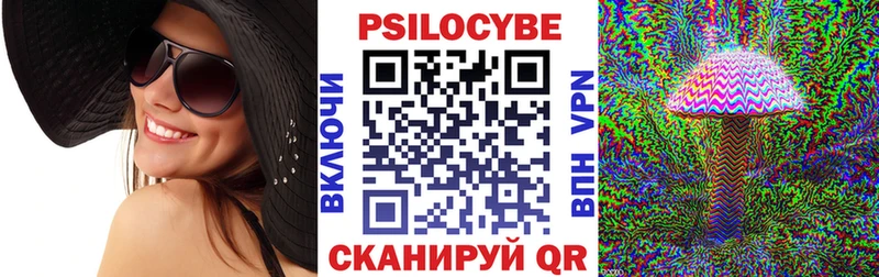 наркота  Иннополис  Псилоцибиновые грибы Psilocybe 