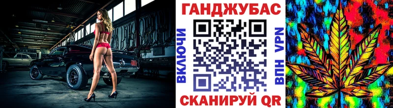 купить наркоту  Иннополис  Конопля сатива 